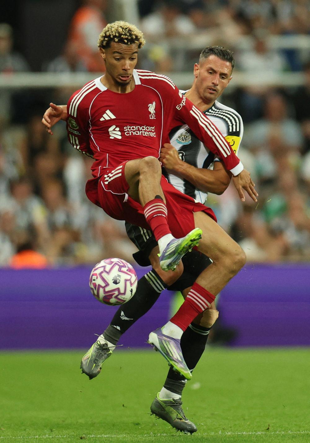 今晨利物浦强势反弹国际比赛日广东宏远豪取连胜，今夜纽约尼克斯调整名单以备法国杯瞬间刷屏(广东宏远录像全场回放免费)